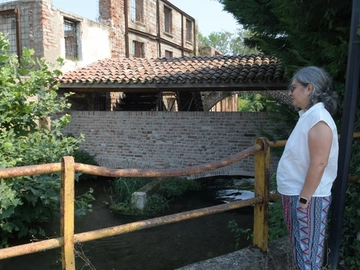 immagine articolo