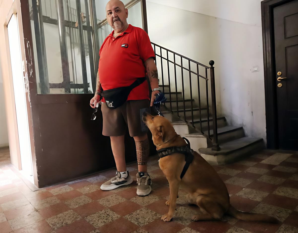 l8217ascensore rotto a ferragosto pietro e portos a zonzo forzato