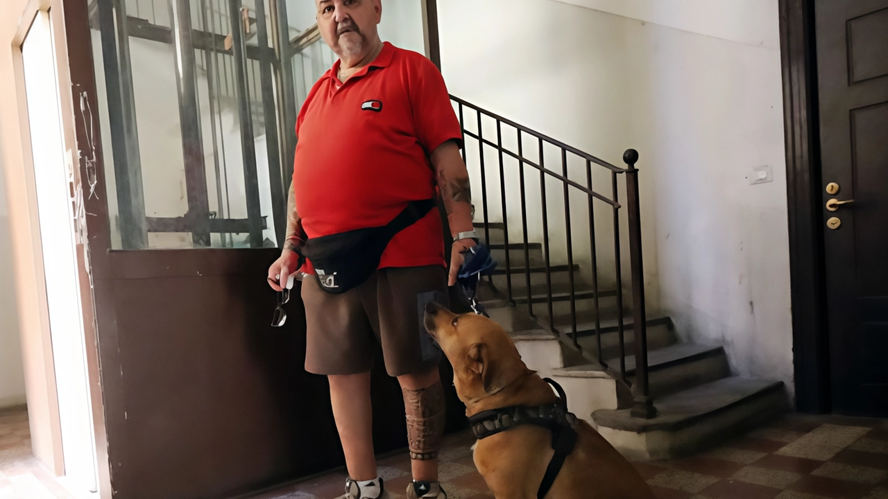 "Fare le scale è un rischio, ma il cane deve uscire. Chiamo e mi ripetono che segnalano alla ditta...".