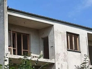 immagine articolo