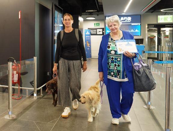 Cani di grossa taglia in cabina: il primo volo Ita Airways da Milano a Roma