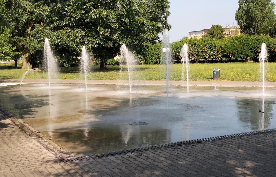 Cormano, torna l’acqua nel parco. I piccoli (grandi) politici hanno vinto Cormano, torna l’acqua nel parco. I piccoli (grandi) politici hanno vinto