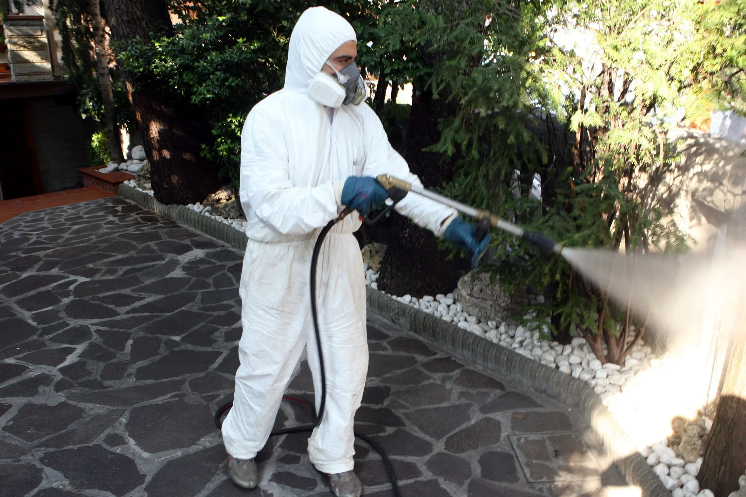 A Como un caso di contagio da Chikungunya, scatta la disinfestazione contro la zanzara tigre