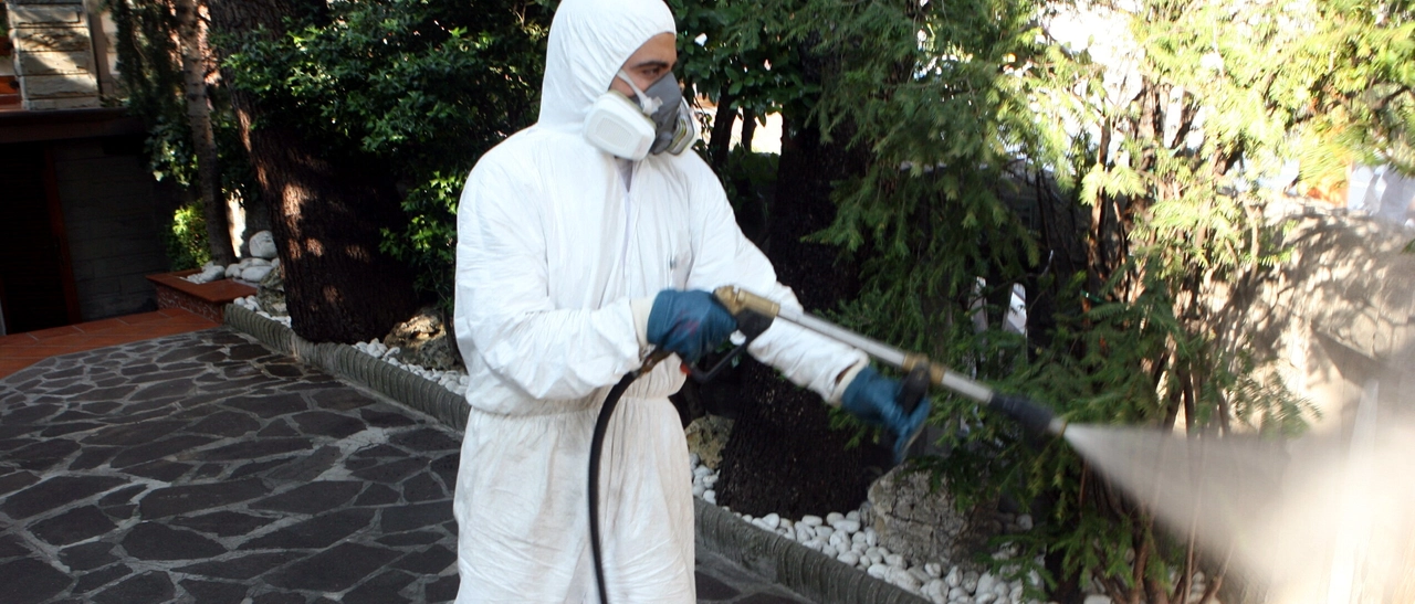 A Como un caso di contagio da Chikungunya, scatta la disinfestazione contro la zanzara tigre