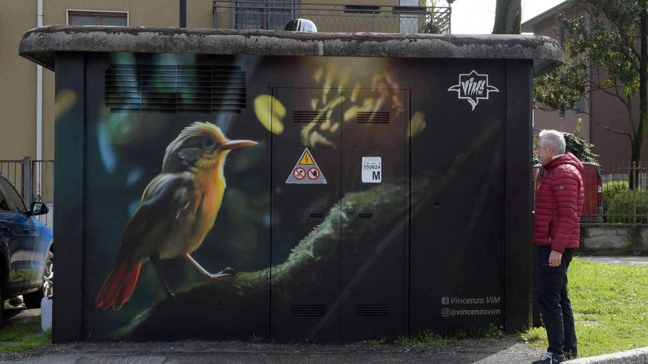 Un tocco di colore nei quartieri periferici. Coi murales dell’artista Vincenzo Magno, in arte ViM, sono state abbellite e...