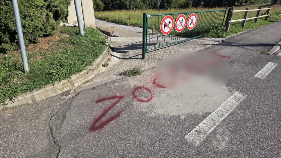 Una delle scritte tracciate sui marciapiedi di Merate Una delle scritte tracciate sui marciapiedi di Merate