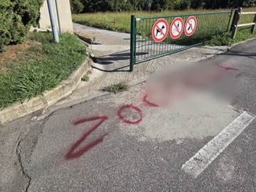 immagine articolo