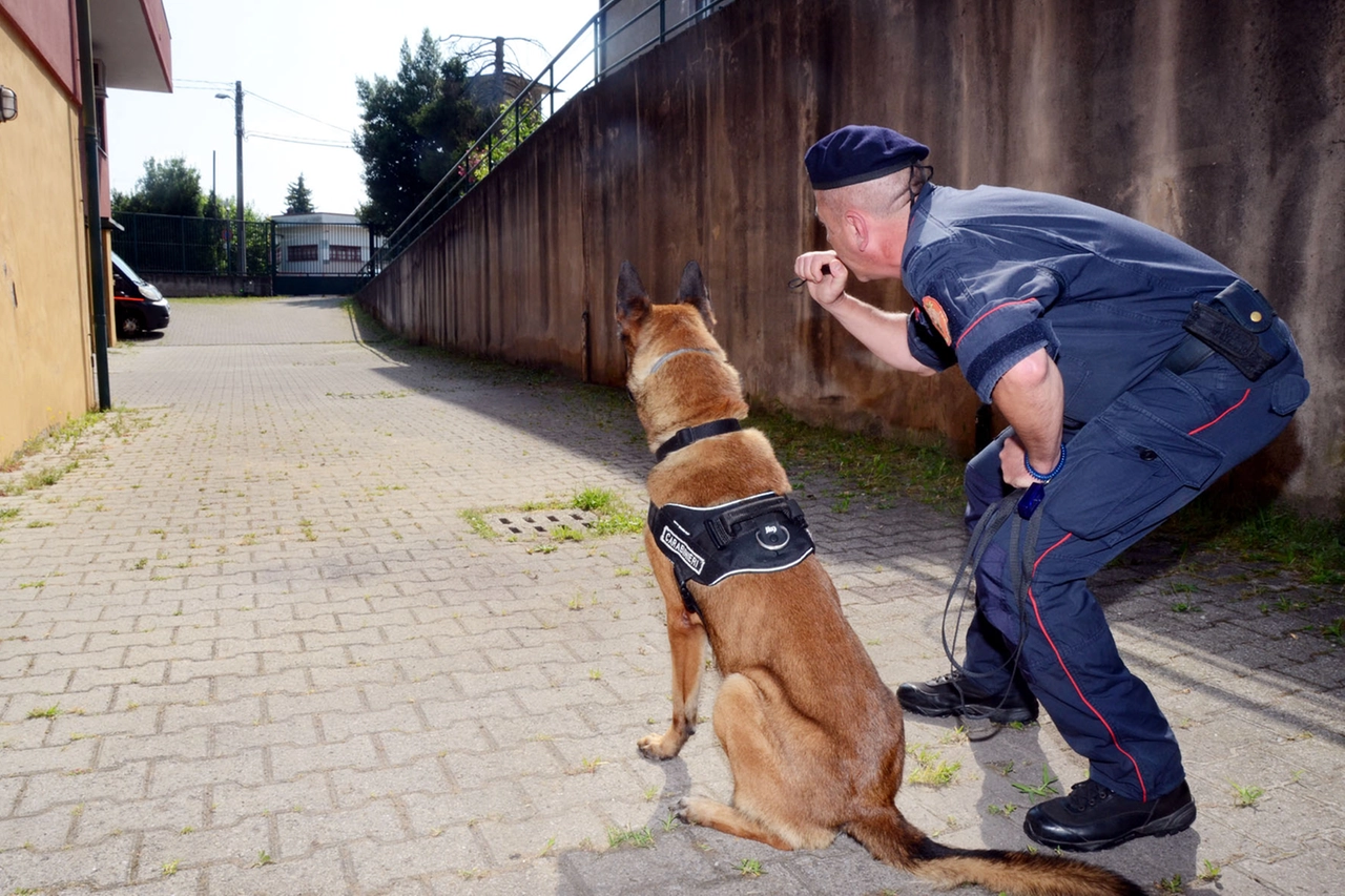 In azione anche le squadre cinofile dotate di cani addestrati dal fiuto speciale