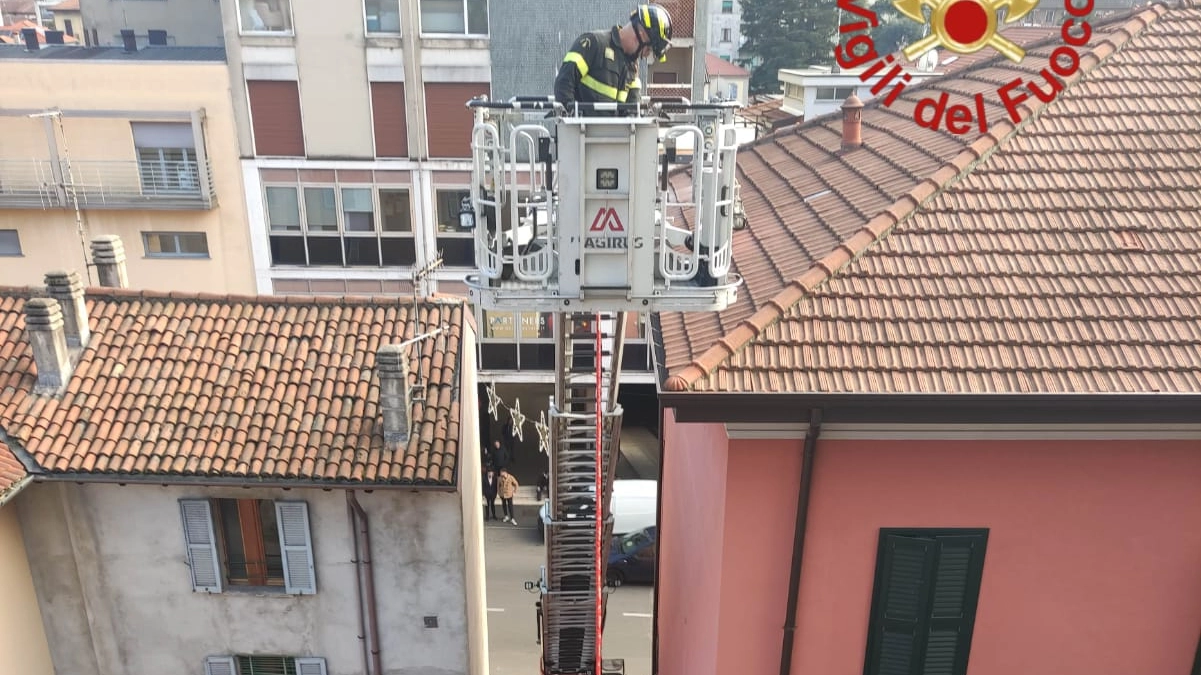 I vigili del fuoco impegnati nell'operazione I vigili del fuoco impegnati nell'operazione