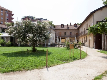 immagine articolo
