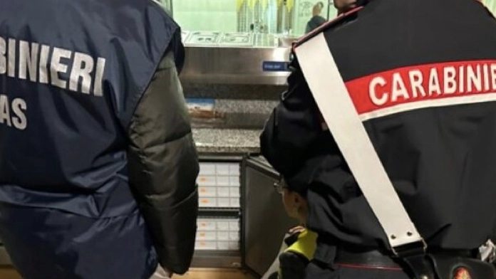 Controlli dei carabinieri con Nas e Nucleo Ispettorato