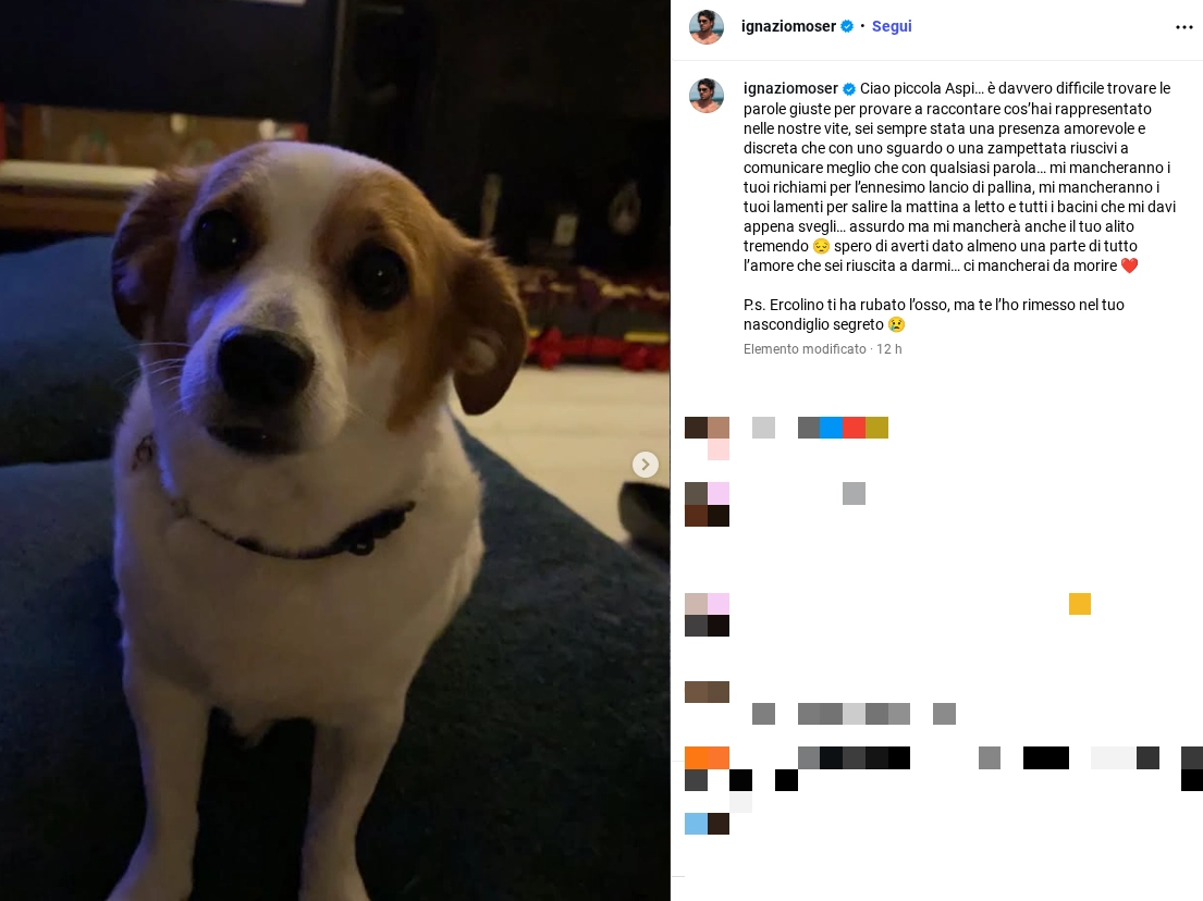 Il post Instagram di Ignazio Moser per annunciare l'addio alla cagnolina Aspirina