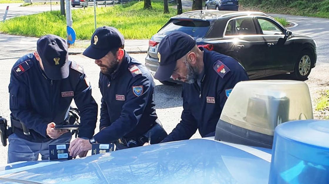 Blitz nei boschi dello spaccio: un arresto