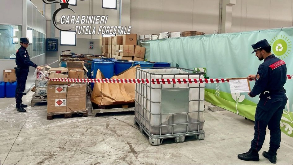 I carabinieri forestali in azione
