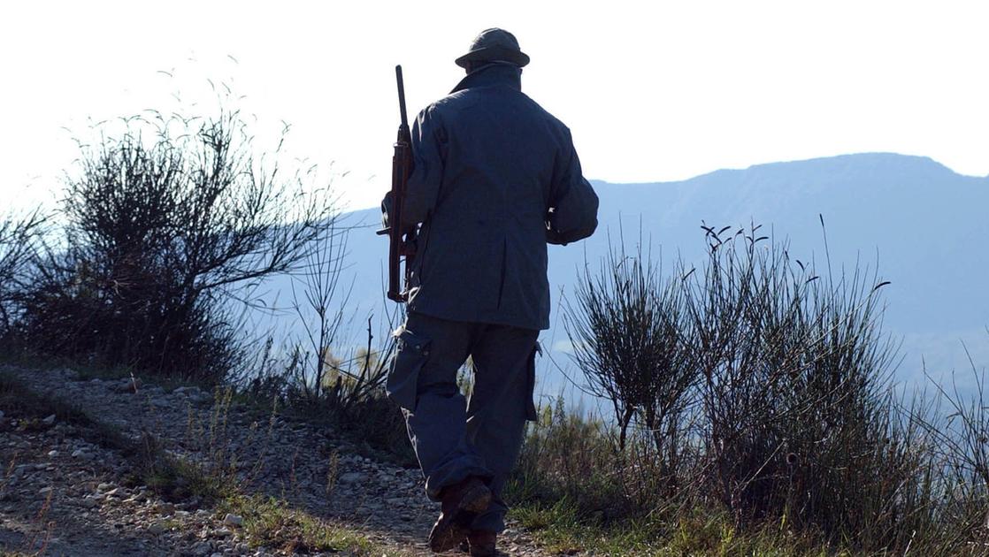 caccia l ira dei comprensori alpini no alla deregulation ecco cosa succede se passa l emendamento