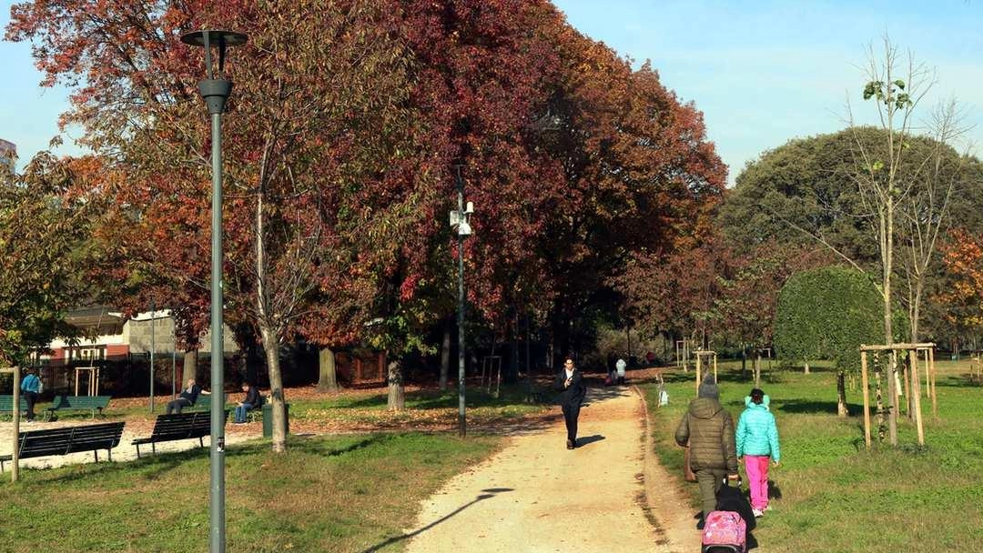 Il parco Guido Vergani a Pagano, riqualificato nel 2001, offre un'ampia area verde con giochi per bambini e eventi per la comunità, senza problemi di sicurezza. Il parco Guido Vergani a Pagano, riqualificato nel 2001, offre un'ampia area verde con giochi per bambini e eventi per la comunità, senza problemi di sicurezza.