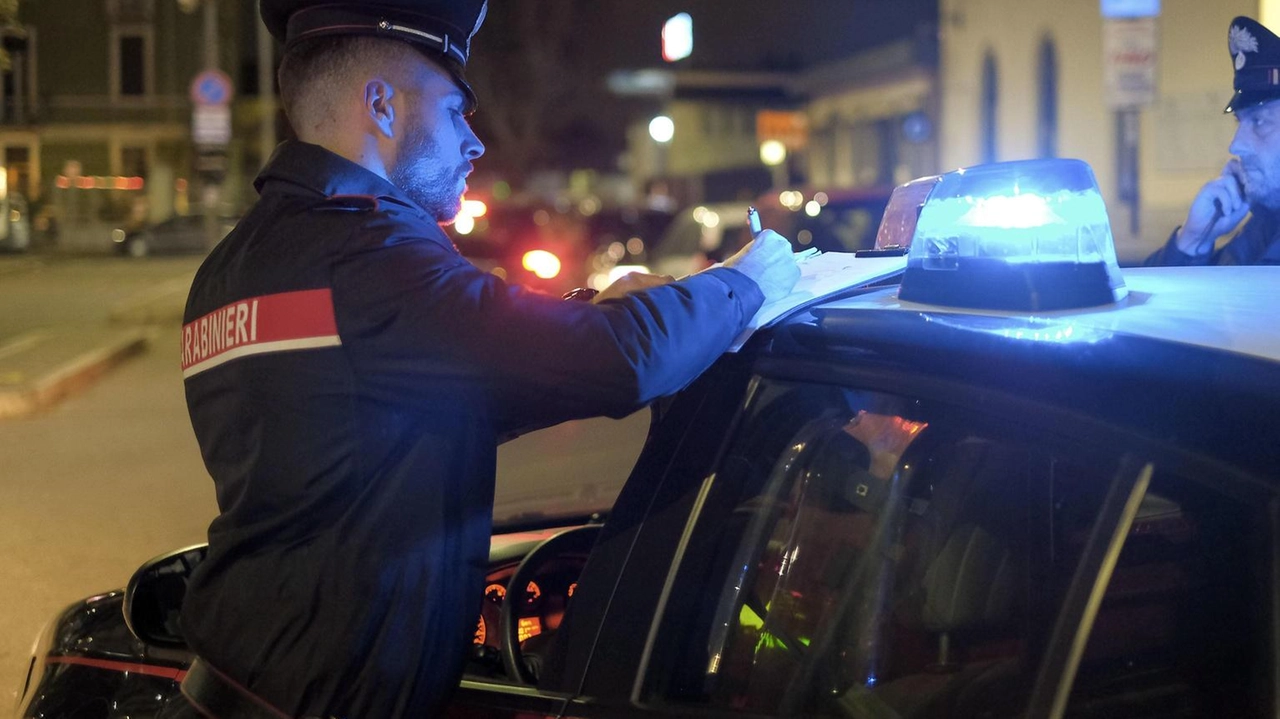 Gli addetti alla sicurezza hanno allertato i carabinieri che si sono messi sulle tracce dei ladri Gli addetti alla sicurezza hanno allertato i carabinieri che si sono messi sulle tracce dei ladri