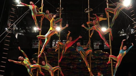 Il circo Il circo