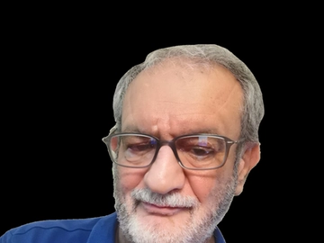 immagine articolo