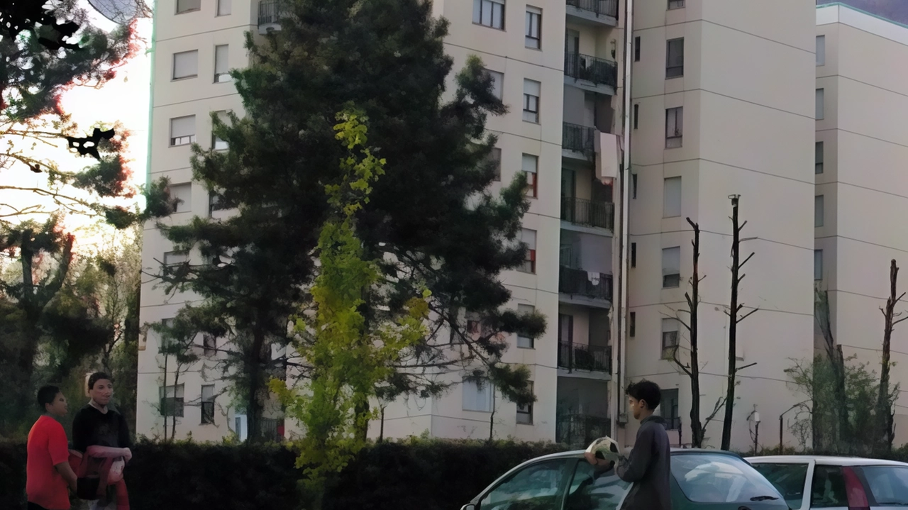 I rifiuti abbandonati in modo selvaggio nei palazzi Aler di viale Cairo sono state al centro delle attenzioni, giovedì sera,... I rifiuti abbandonati in modo selvaggio nei palazzi Aler di viale Cairo sono state al centro delle attenzioni, giovedì sera,...