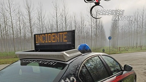 Carabinieri in azione