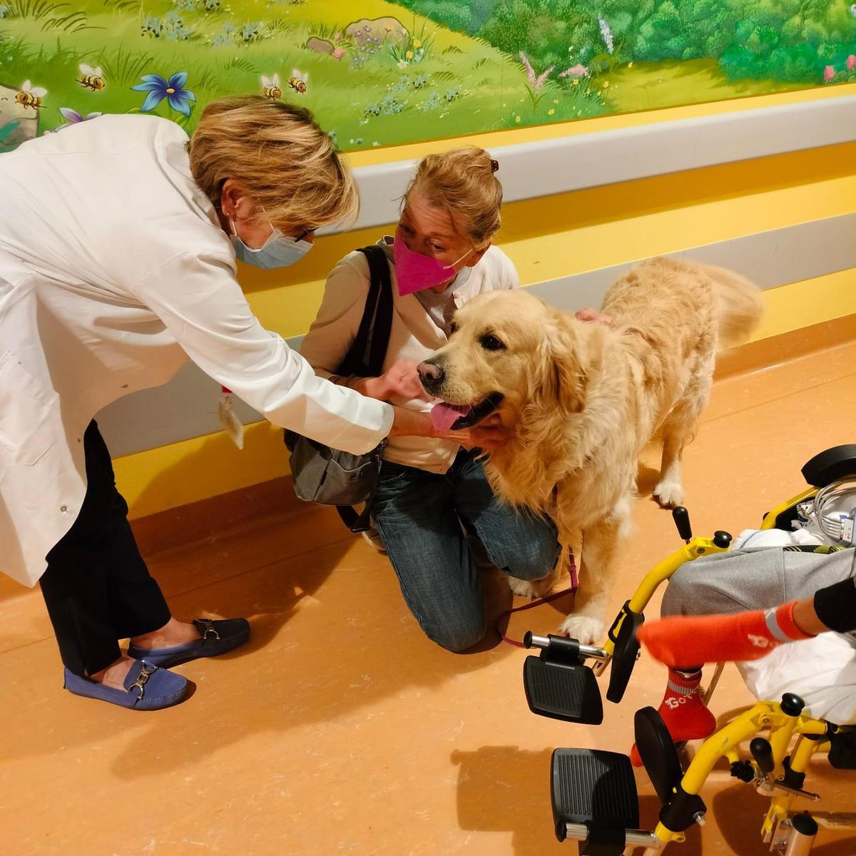 “Zampe d’oro“ entrano in corsia. Due cani nei reparti oncologici “Zampe d’oro“ entrano in corsia. Due cani nei reparti oncologici