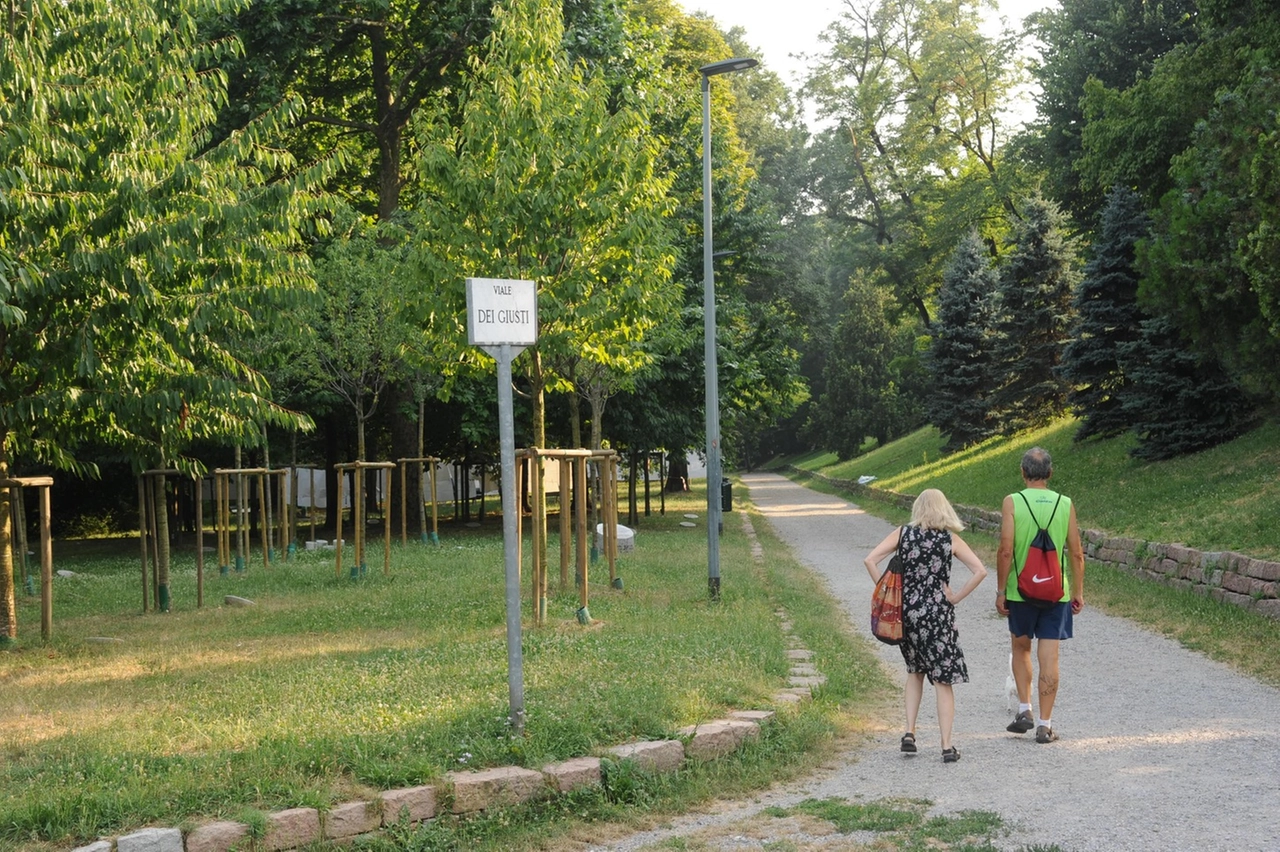 Il Monte Stella, alla periferia nordovest di Milano, è uno dei polmoni verdi della città
