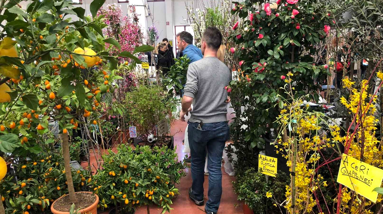 Montichiari, da venerdì 15 a domenica 17 marzo torna “Fiera di Vita in Campagna”