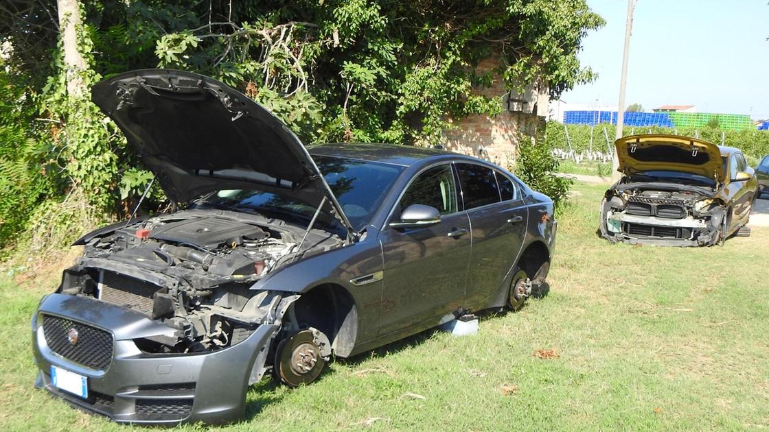 Banda di 9 persone ruba oltre 100 auto in Brianza per rivendere i pezzi, ma la riforma Cartabia li “salva” quasi tutti Banda di 9 persone ruba oltre 100 auto in Brianza per rivendere i pezzi, ma la riforma Cartabia li “salva” quasi tutti