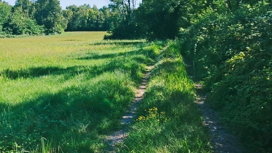 Il nuovo canile di Varese ai Duni? Per il Wwf Insubria è un no. La sezione locale dell’associazione ambientalista... Il nuovo canile di Varese ai Duni? Per il Wwf Insubria è un no. La sezione locale dell’associazione ambientalista...