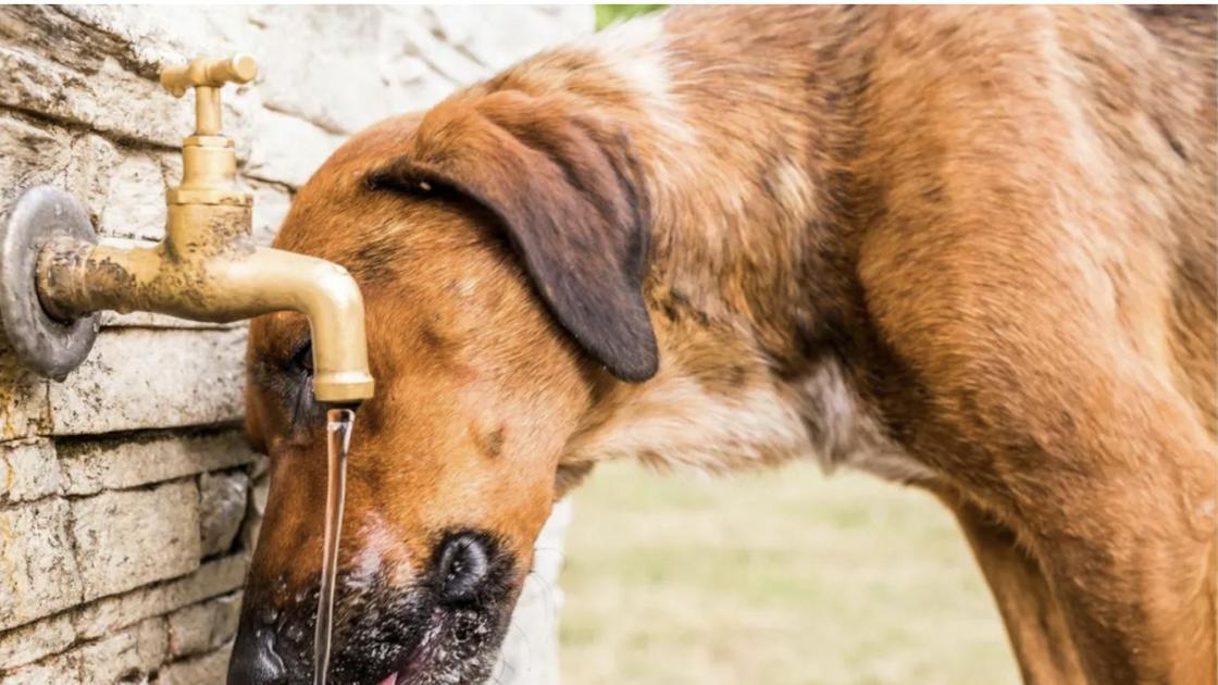 Come affrontare colpi di calore e temporali. Tutti i consigli per “sopravvivere“ all’estate