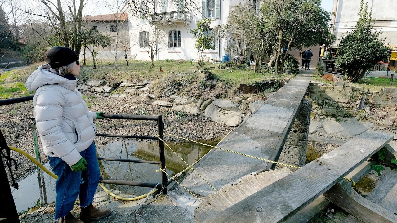 Chiusura temporanea dell'oasi di piazza Castello a Monza a causa dei danni del maltempo. Legambiente e Regione al lavoro per il ripristino. Chiusura temporanea dell'oasi di piazza Castello a Monza a causa dei danni del maltempo. Legambiente e Regione al lavoro per il ripristino.