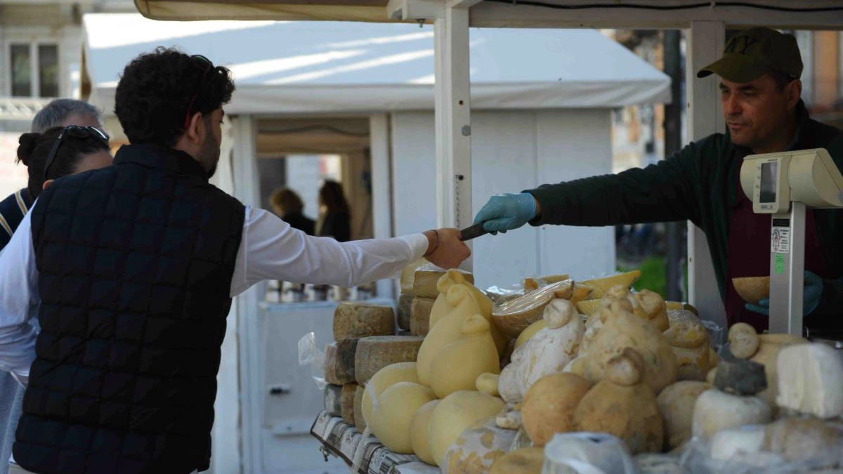 ‘Formaggi e Sorrisi’, le eccellenze casearie Made in Italy protagoniste a Cremona: quando e dove