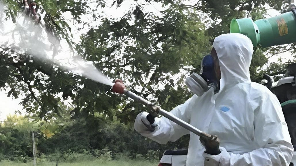 Un caso sospetto di dengue a Lissone, tre giorni consecutivi di disinfestazione