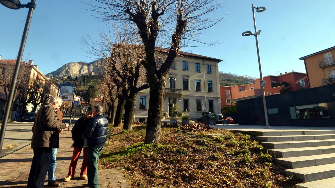 La cittadina invecchia Nel 2024 sono nati solamente 75 bimbi di cui 34 femminucce e 41 maschietti La cittadina invecchia Nel 2024 sono nati solamente 75 bimbi di cui 34 femminucce e 41 maschietti