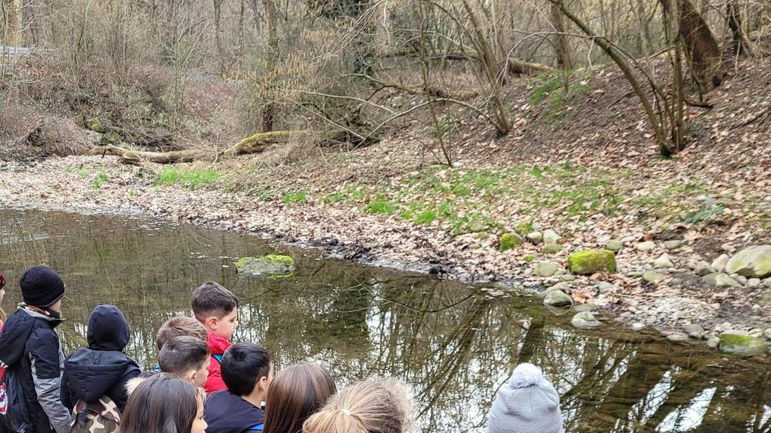 Torrente Lura da tutelare. C’è un progetto Torrente Lura da tutelare. C’è un progetto