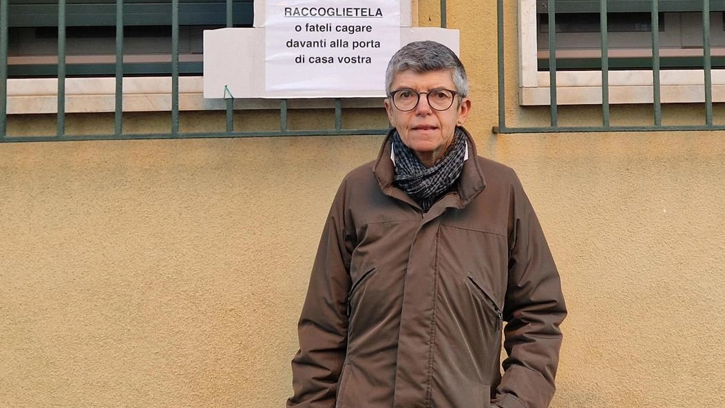Cartelli sul muro di casa, l’appello di una residente: colpa dei padroni maleducati . Cartelli sul muro di casa, l’appello di una residente: colpa dei padroni maleducati .