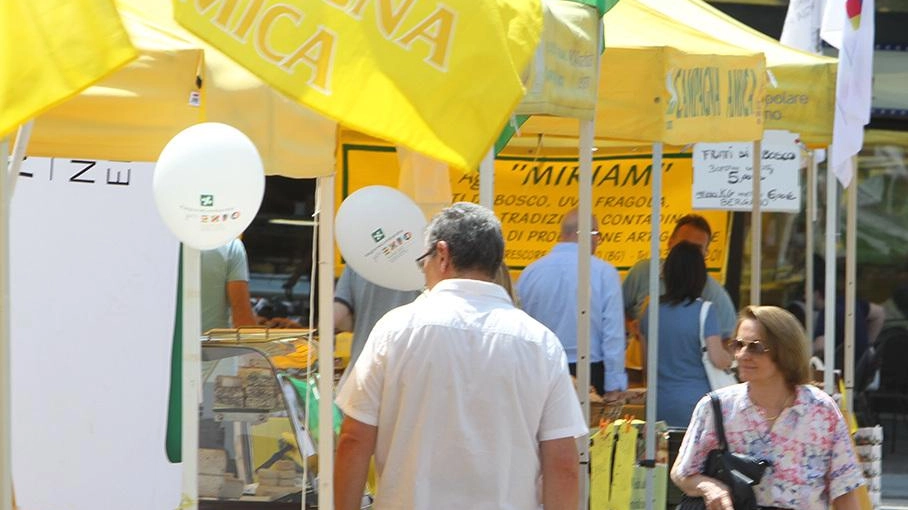 L’iniziativa “Campagna Amica“ è nata nel 2008 con l’obiettivo di valorizzare l’agricoltura italiana L’iniziativa “Campagna Amica“ è nata nel 2008 con l’obiettivo di valorizzare l’agricoltura italiana