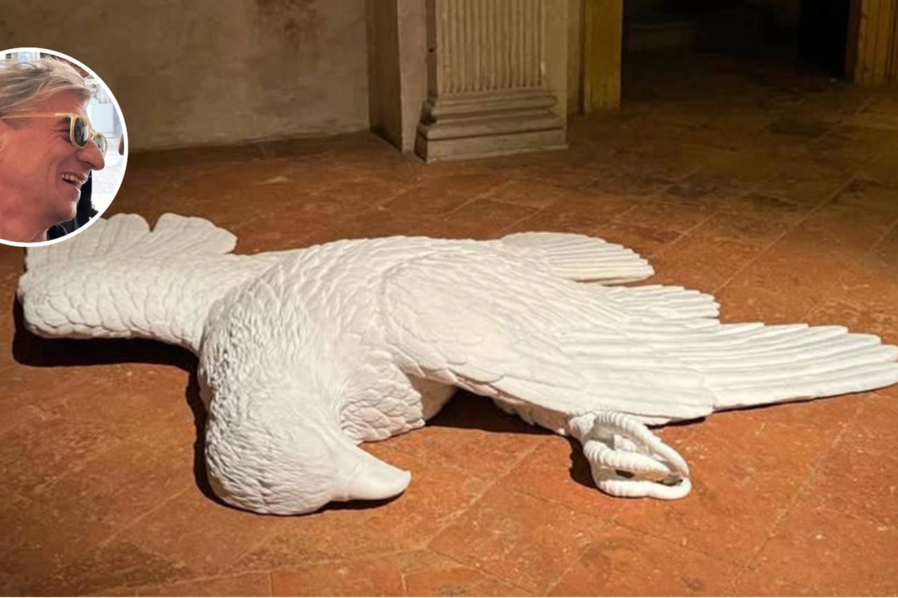 Bones, l'aquila abbattuta di Maurizio Cattelan, esposta all'ex oratorio di San Lupo a Bergamo