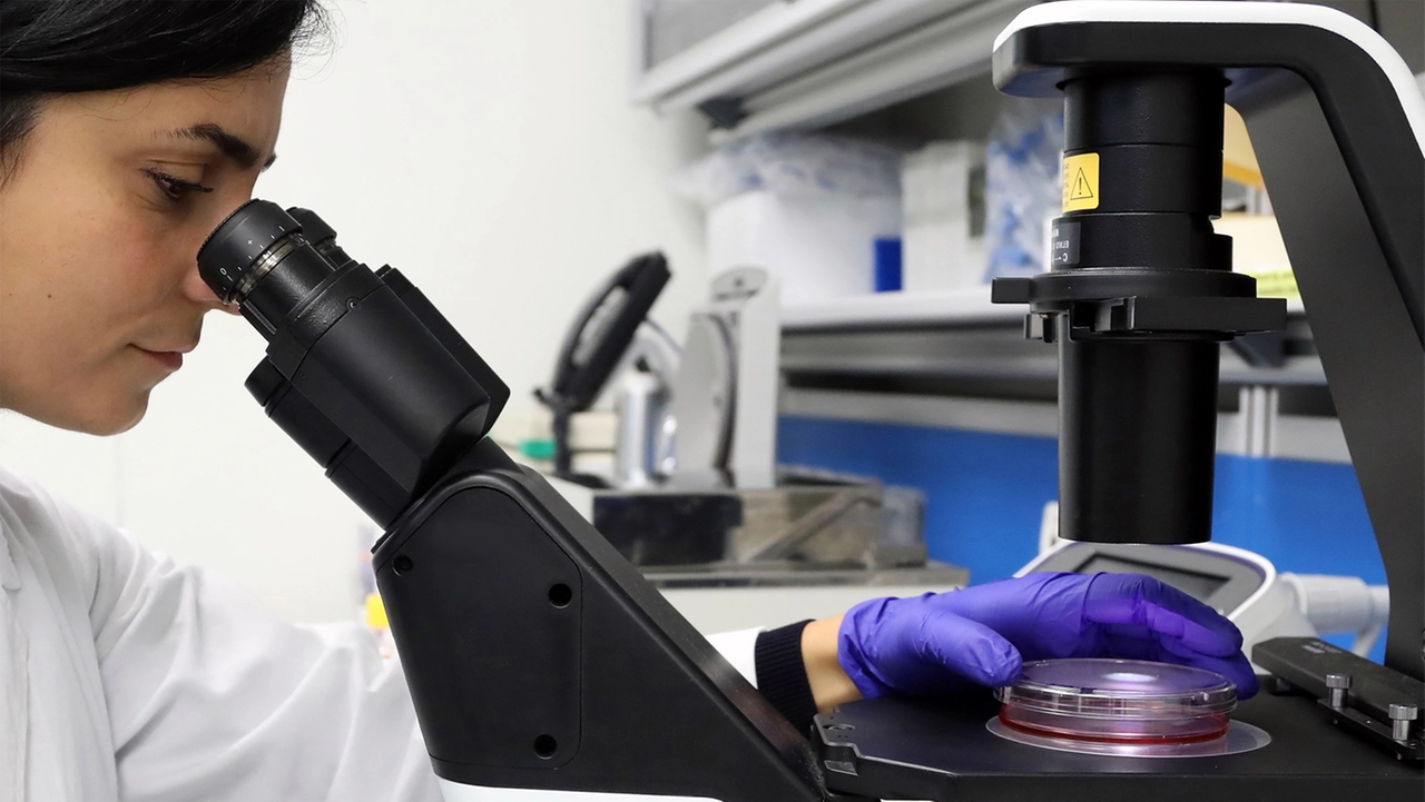 La ricerca è stata condotta da un team del Policlinico San Matteo di Pavia