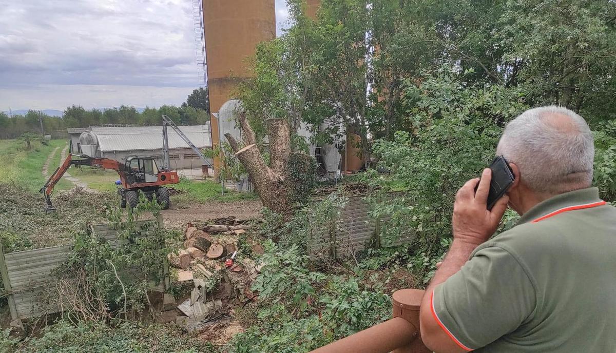 ucciso dall8217albero recide un tronco viene travolto