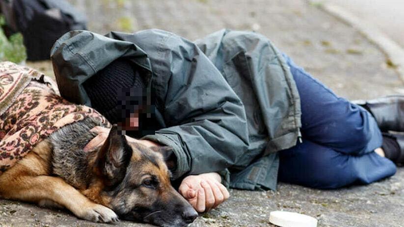 A Milano box per gli animali d