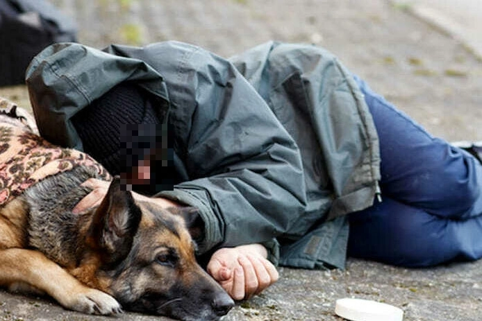 Un senzatetto in strada con il cane