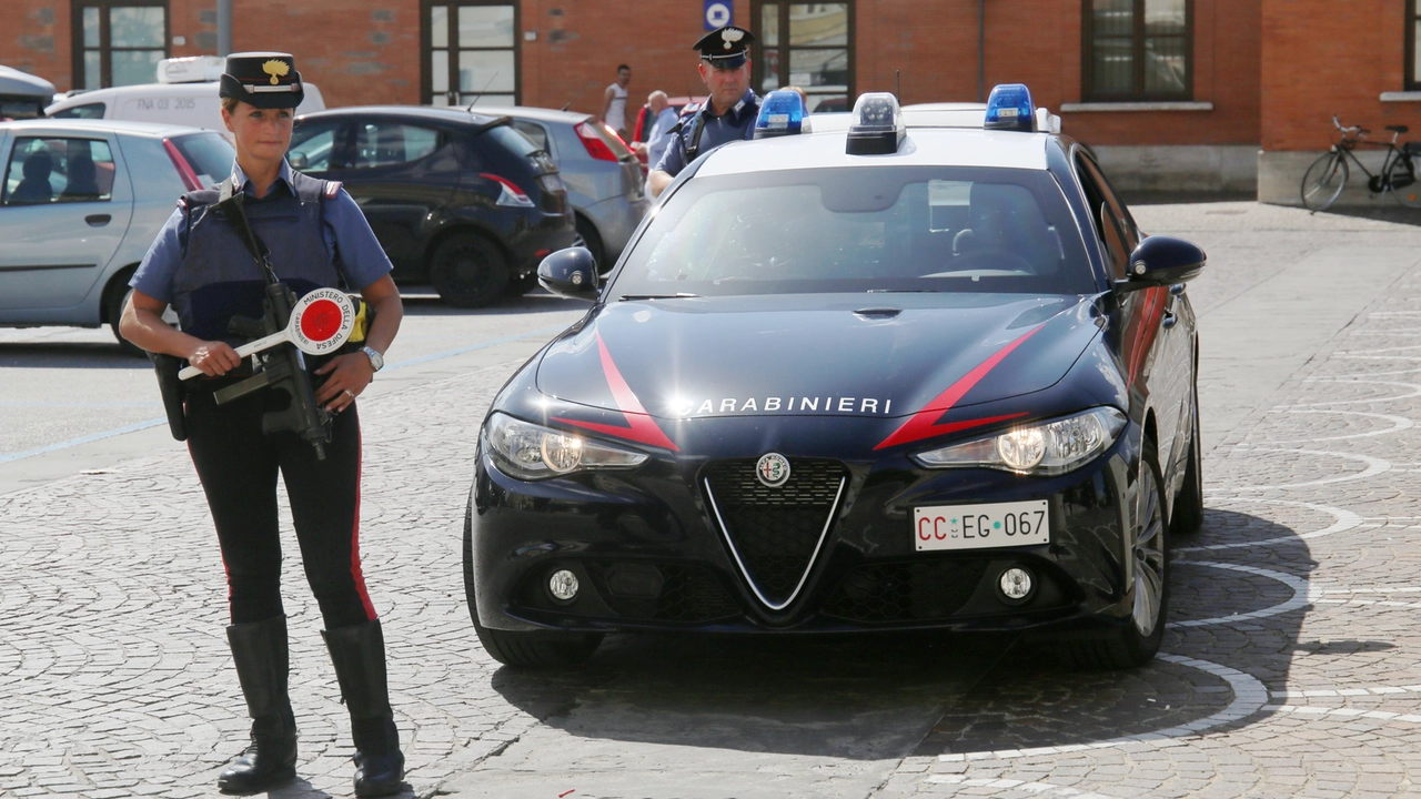 Chi avvistasse la donna con il piccolo è pregato di avvisare i carabinieri Chi avvistasse la donna con il piccolo è pregato di avvisare i carabinieri