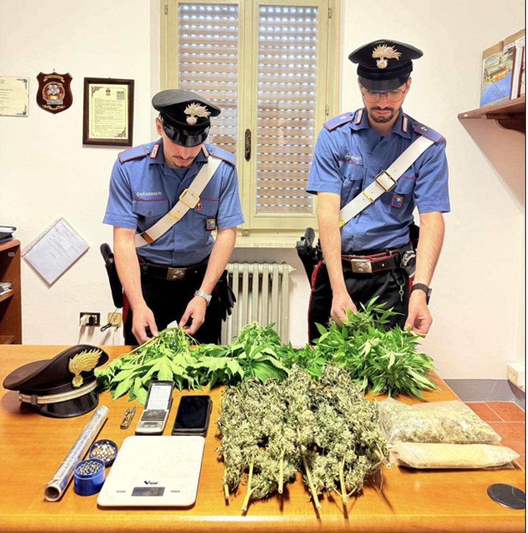 Coltivava marijuana nella camera da letto. Nei guai cinquantunenne Coltivava marijuana nella camera da letto. Nei guai cinquantunenne
