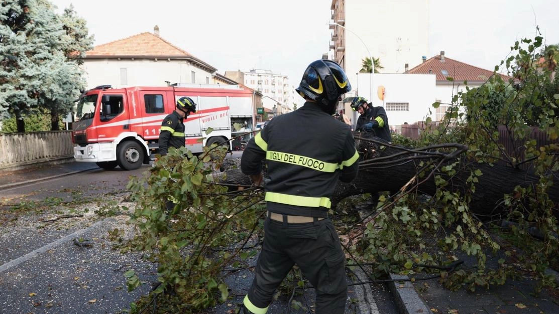 Uno degli interventi dei vigili del fuoco in quei giorni drammatici dell’estate dello scorso anno Uno degli interventi dei vigili del fuoco in quei giorni drammatici dell’estate dello scorso anno