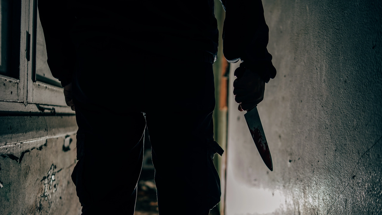 Il minorenne, residente nella cittadina vicino a Monza, non ha saputo spiegare i motivi per cui si trovava in strada con un coltello