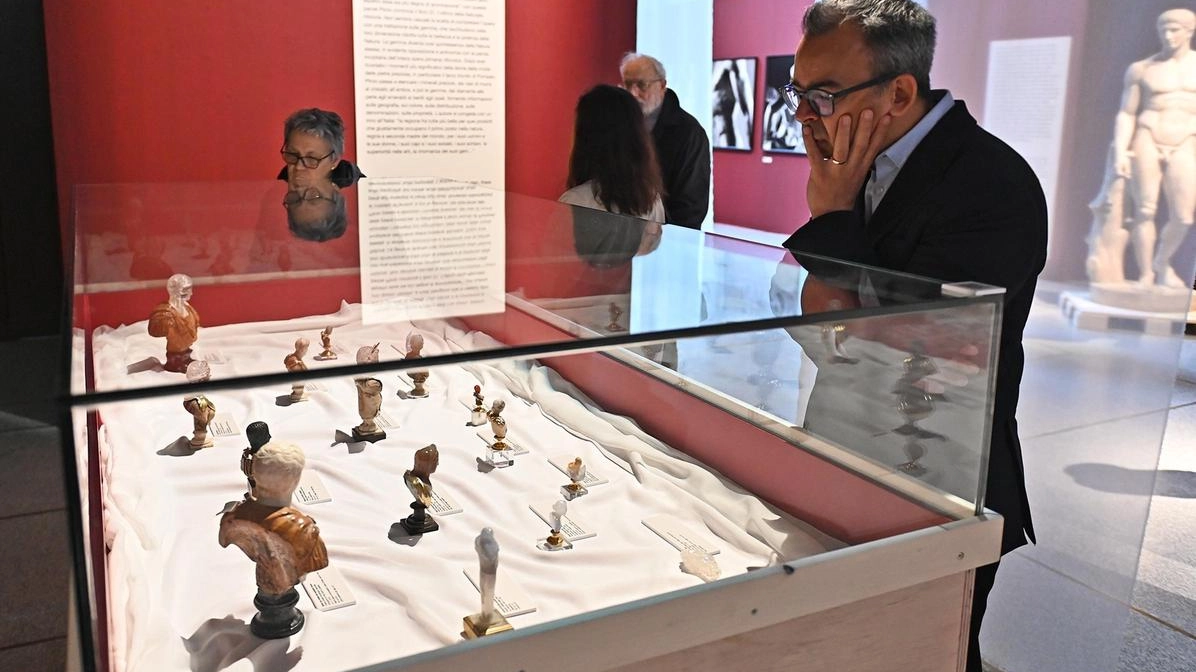 Como, al via la mostra ‘Il catalogo del mondo. Plinio il Vecchio e la Storia della Natura’