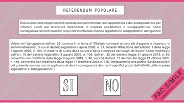 Referendum 2025: come votare. La guida