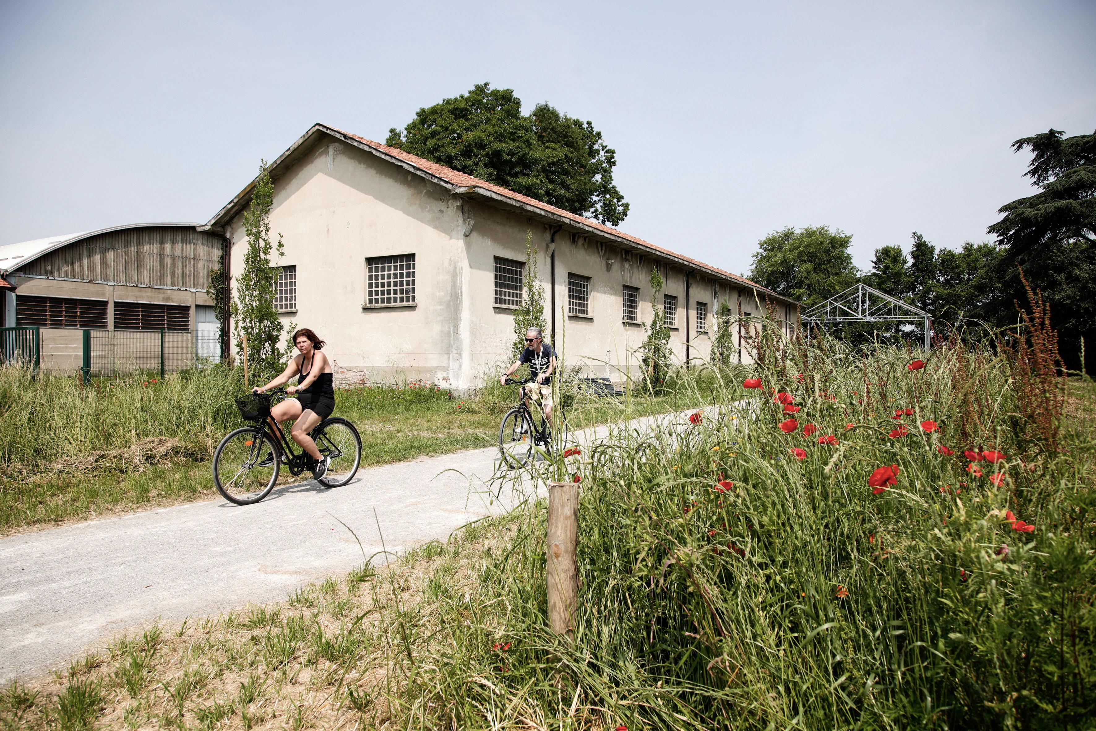 Il Parco Nord si allarga con la rinascita della Balossa: da area abbandonata a ecostistema urbano Il Parco Nord si allarga con la rinascita della Balossa: da area abbandonata a ecostistema urbano